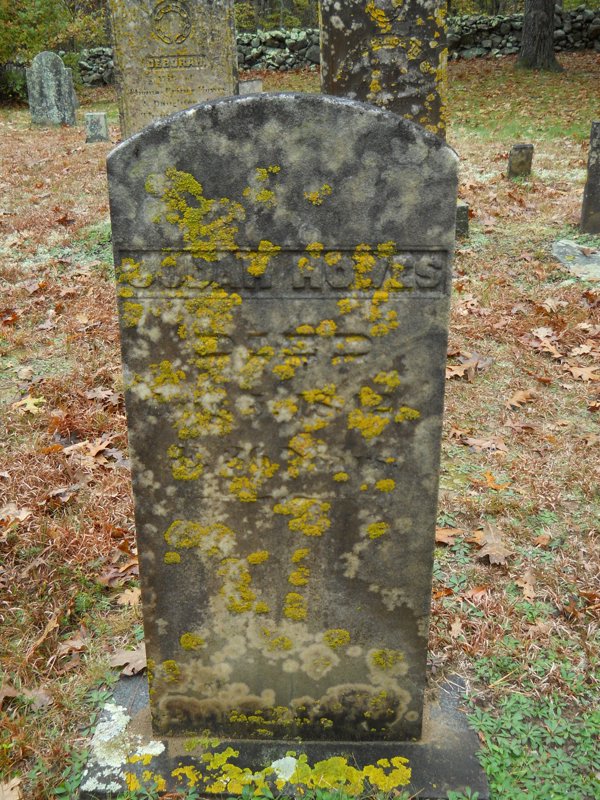 Genealogy 346.jpg
