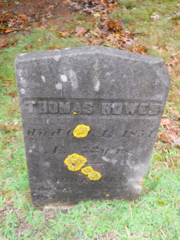 Genealogy 350.jpg