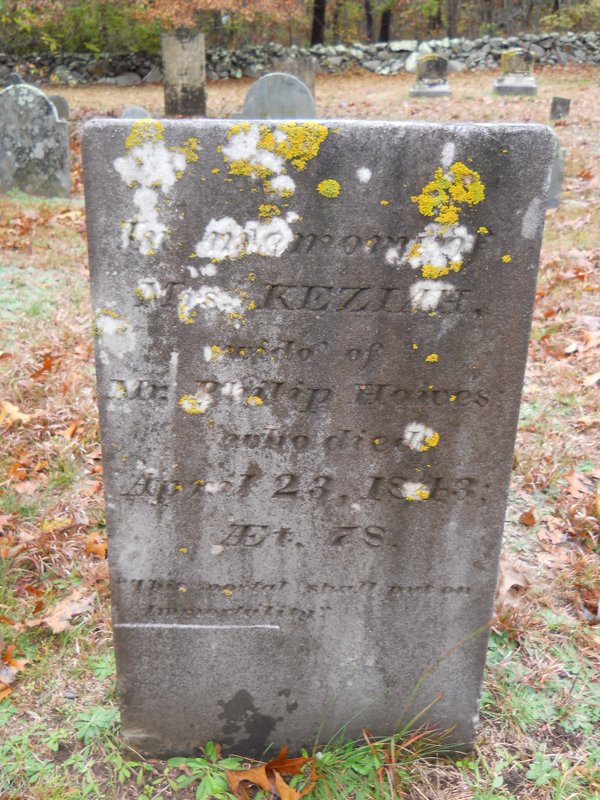 Genealogy 352.jpg