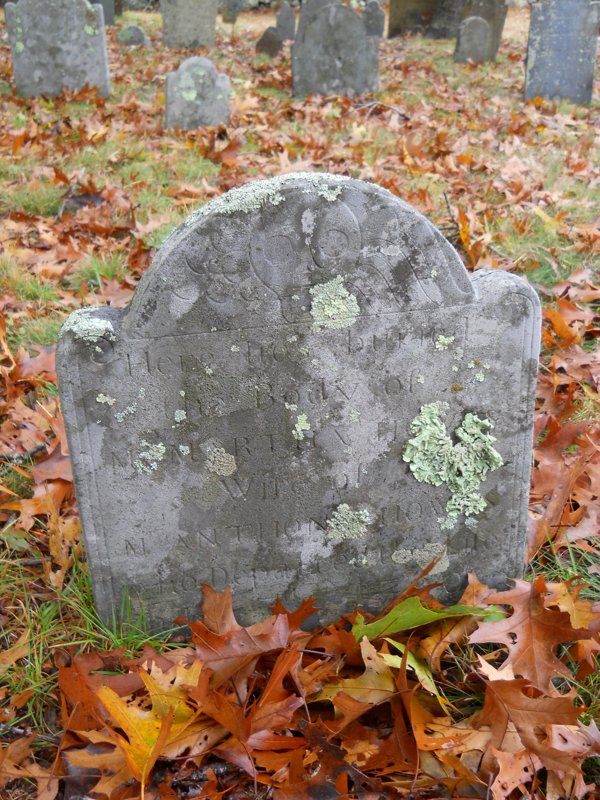Genealogy 354.jpg