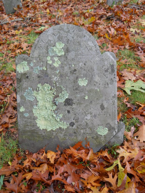 Genealogy 356.jpg