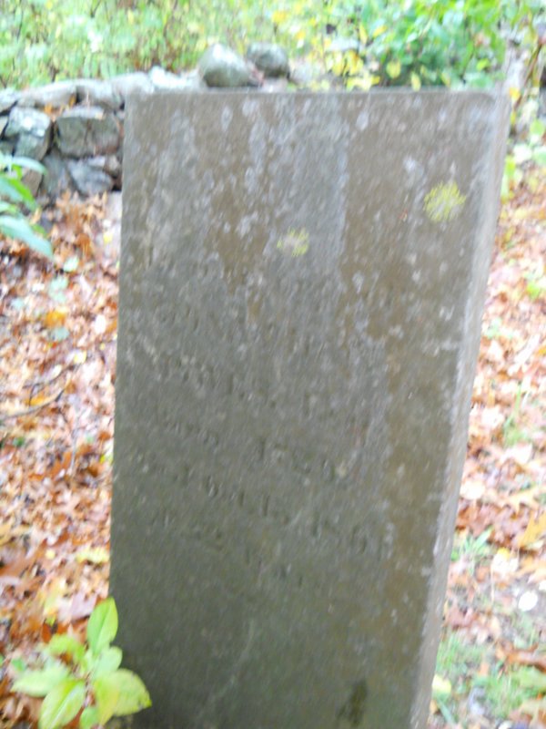 Genealogy 357.jpg