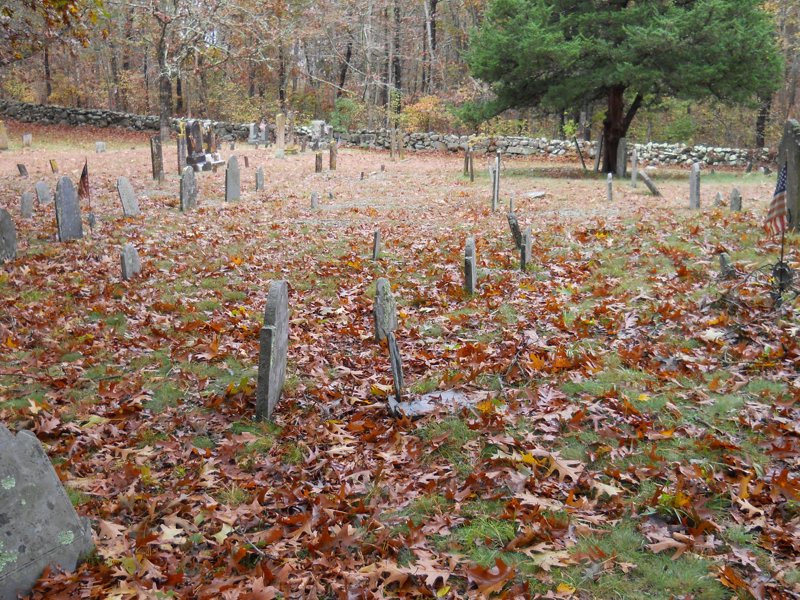 Genealogy 358.jpg