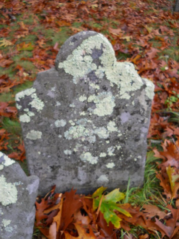 Genealogy 360.jpg