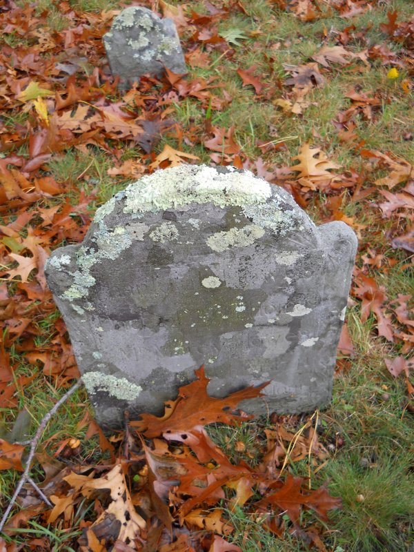 Genealogy 363.jpg
