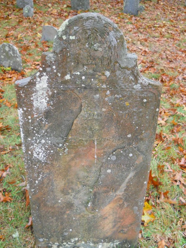 Genealogy 365.jpg