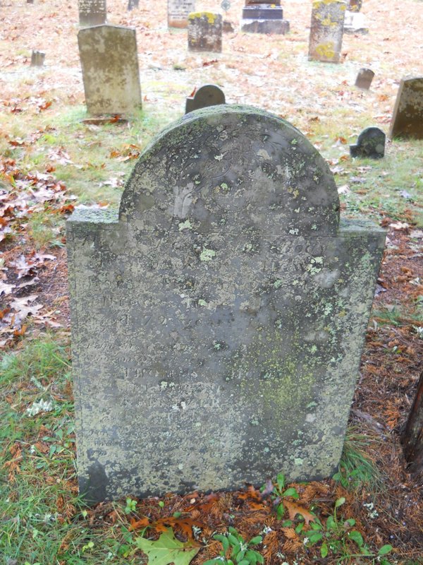 Genealogy 369.jpg