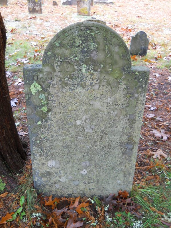 Genealogy 370.jpg