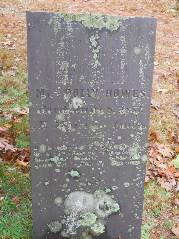 Genealogy 373.jpg
