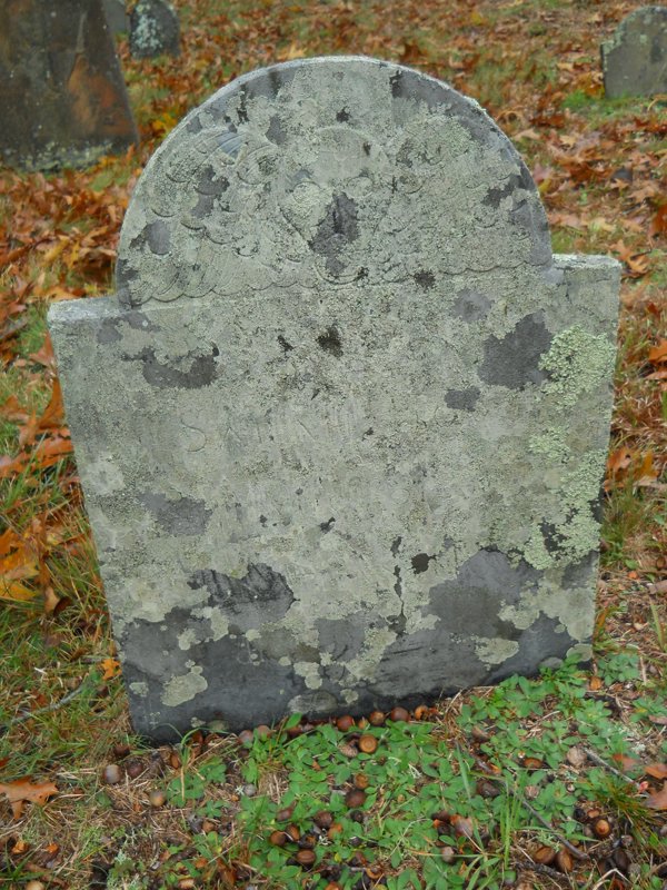 Genealogy 377.jpg