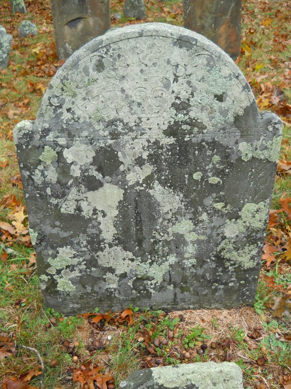 Genealogy 378.jpg