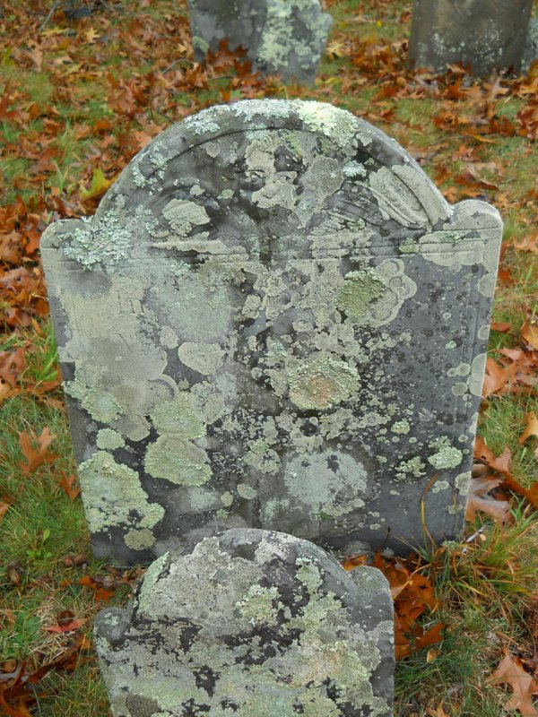 Genealogy 379.jpg
