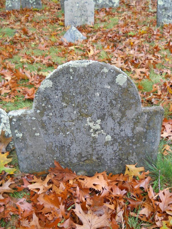 Genealogy 381.jpg