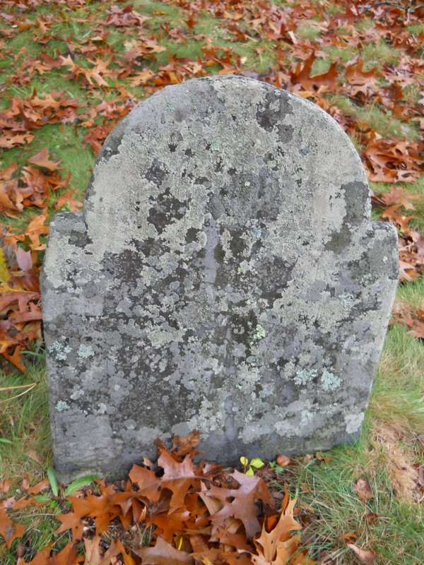 Genealogy 384.jpg