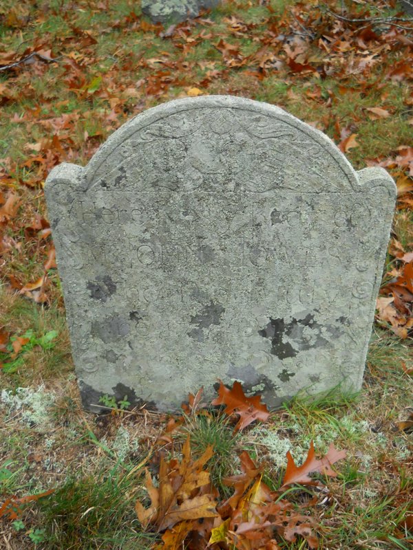 Genealogy 386.jpg