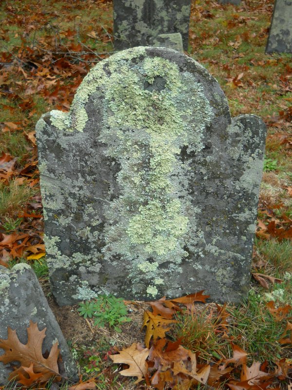 Genealogy 387.jpg
