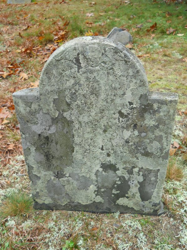 Genealogy 388.jpg