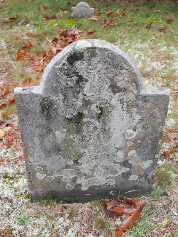 Genealogy 389.jpg