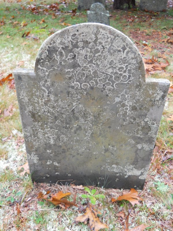 Genealogy 390.jpg