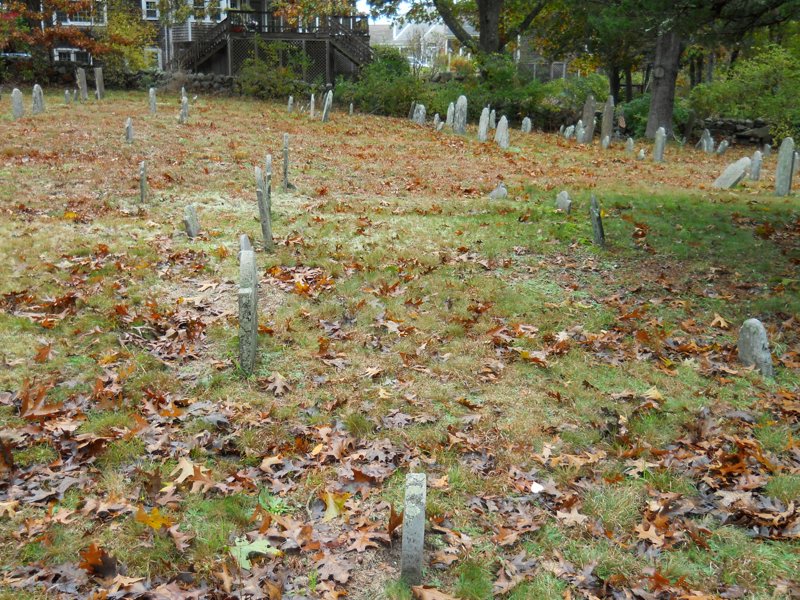 Genealogy 392.jpg