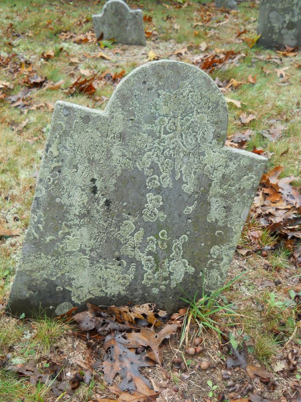 Genealogy 395.jpg