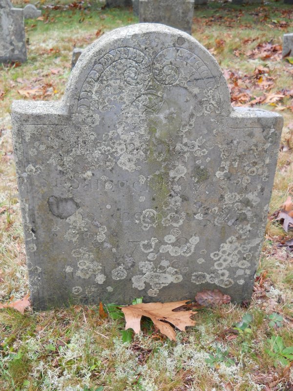 Genealogy 396.jpg