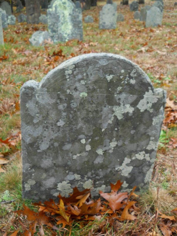 Genealogy 398.jpg