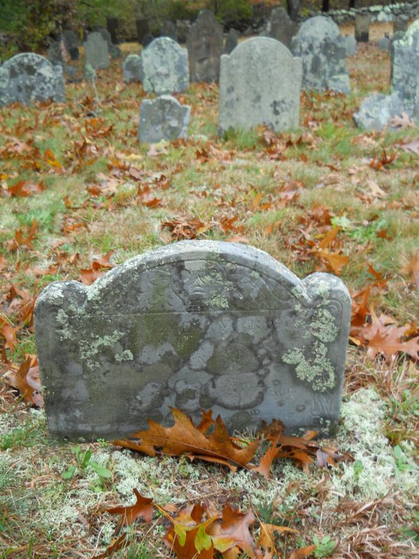 Genealogy 399.jpg