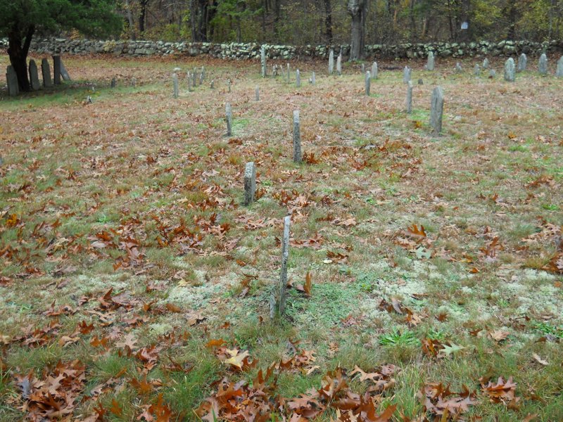 Genealogy 401.jpg