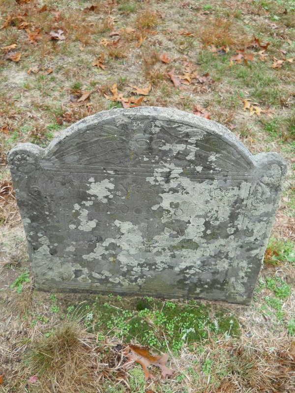 Genealogy 404.jpg