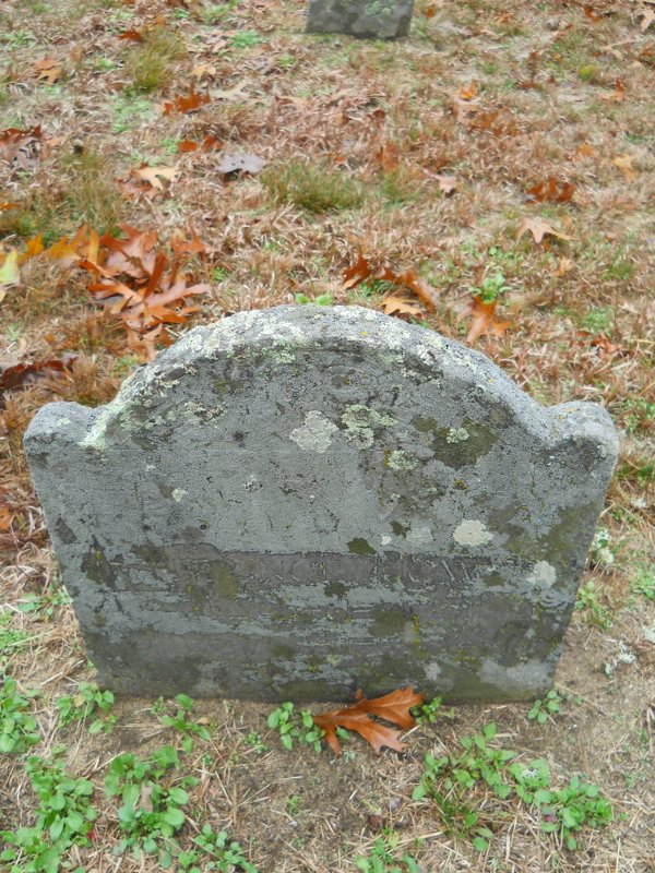 Genealogy 405.jpg