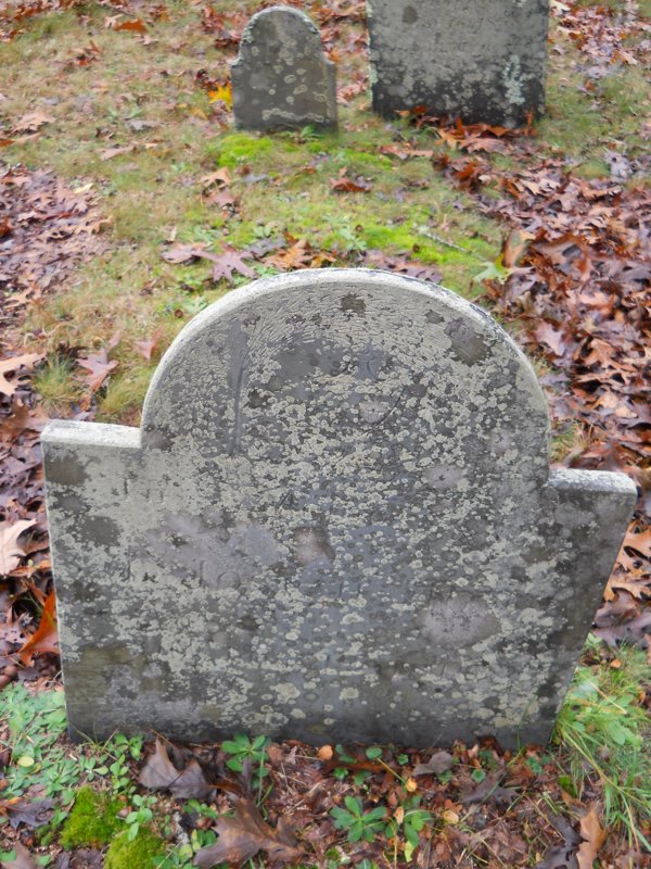 Genealogy 408.jpg