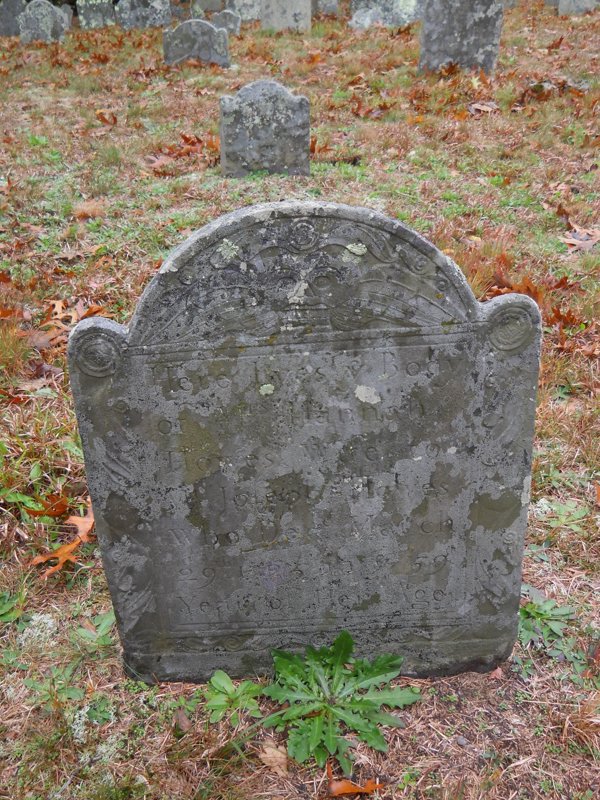 Genealogy 411.jpg