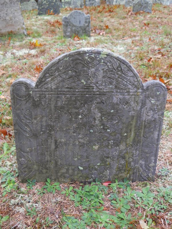 Genealogy 412.jpg