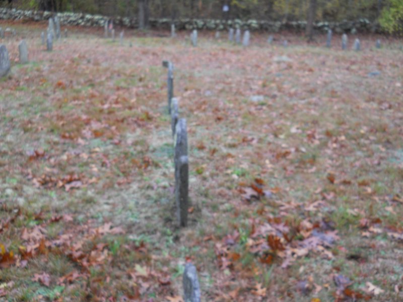 Genealogy 416.jpg