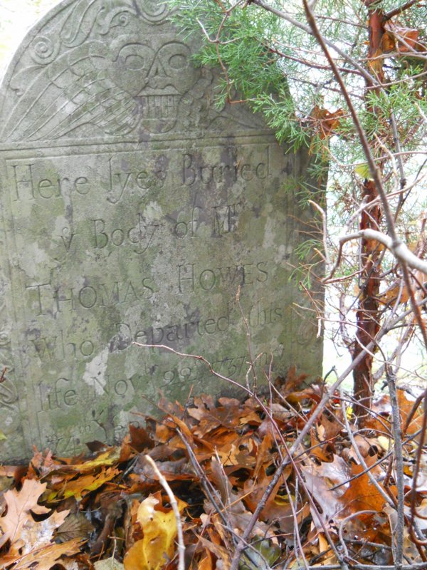 Genealogy 421.jpg