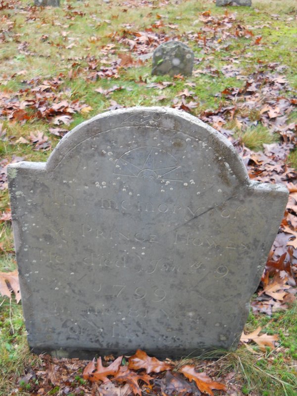 Genealogy 428.jpg