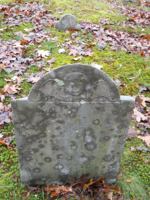 Genealogy 430.jpg