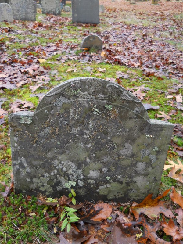 Genealogy 431.jpg