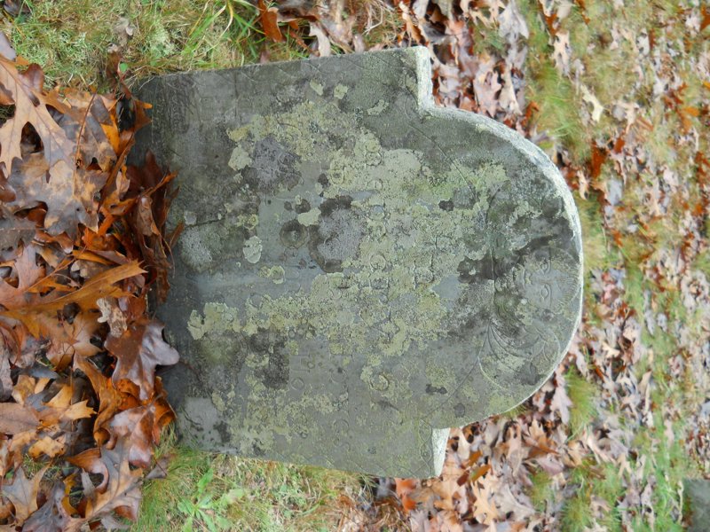 Genealogy 437.jpg