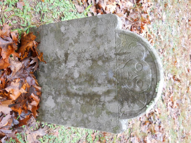 Genealogy 440.jpg