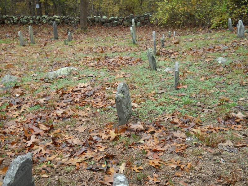 Genealogy 442.jpg