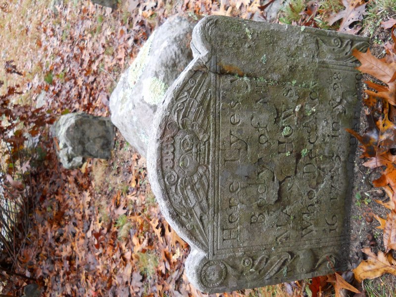 Genealogy 446.jpg