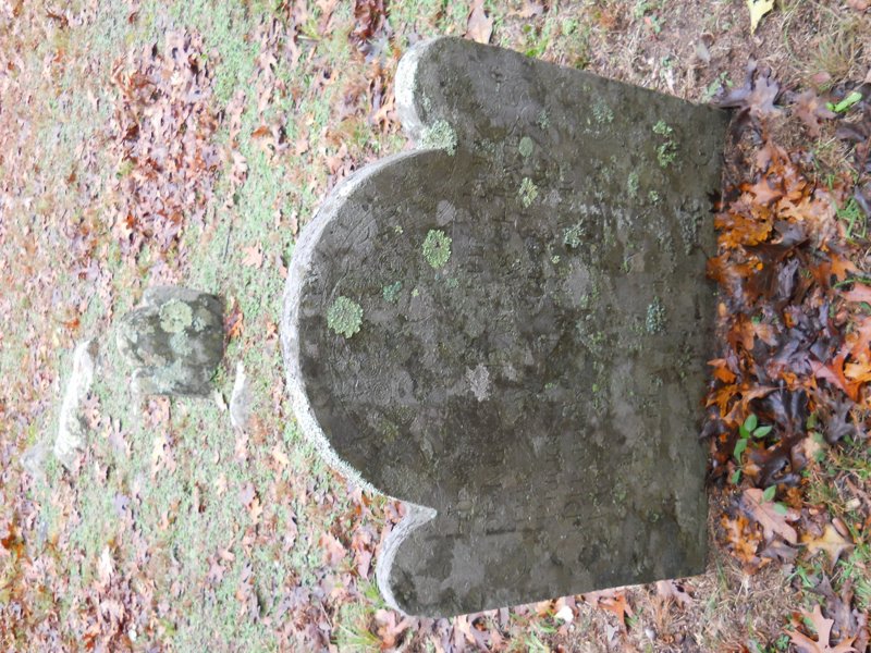 Genealogy 450.jpg