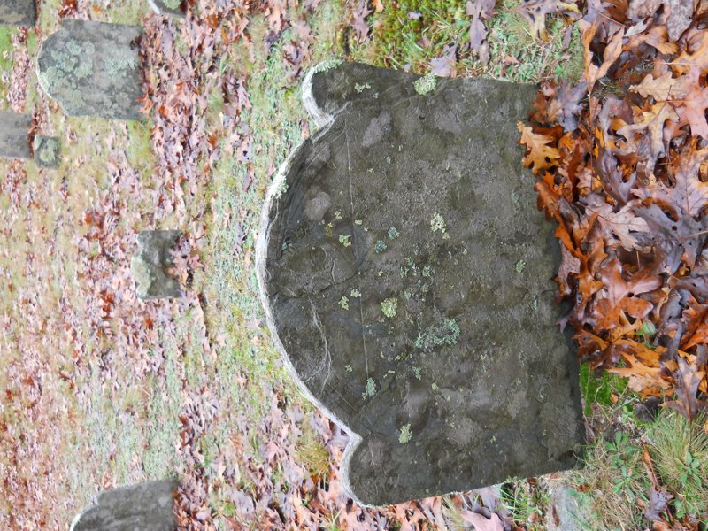 Genealogy 451.jpg