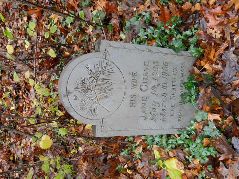 Genealogy 455.jpg