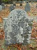 Genealogy 353.jpg