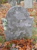 Genealogy 355.jpg