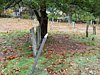 Genealogy 374.jpg