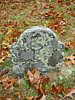 Genealogy 385.jpg